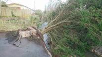 Take care folks if you're walking behind the old Penmare , tree down knocking the retaining wall into the river. The correct people have been notified to make safe, but it may take a while, as other more serious damage is taking priority. Take care folks if you're walking behind the old Penmare , tree down knocking the retaining wall into the river. The correct people have been notified to make safe, but it may take a while, as other more serious damage is taking priority.